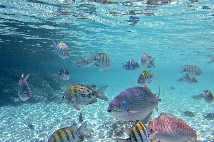 6 Hour St. Thomas Private Sightseeing Tour