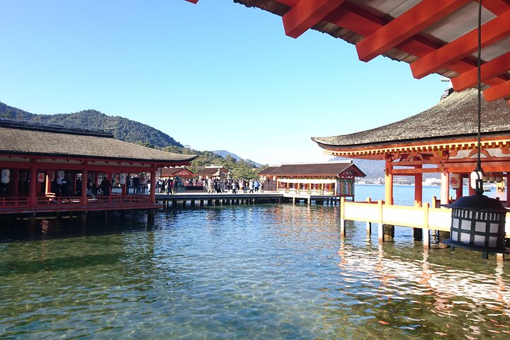 Hiroshima and Miyajima 1 Day Bus Tour With lunch