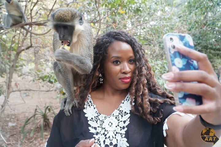Senegal and Gambia 8 days 7 nights trip. Minimum 2 people