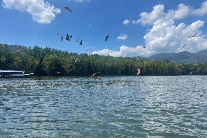 Langkawi Island Shore Excursions For Cruise Ship Traveler