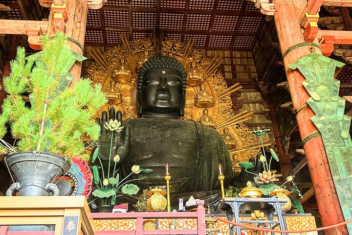 World Heritage Kyoto & Nara Uji Authentic Matcha Experience