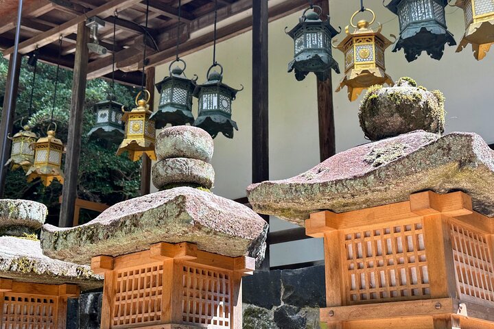 World Heritage Kyoto & Nara Uji Authentic Matcha Experience