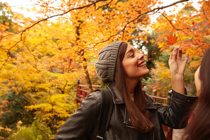 1 Hour Private Photoshoot in Nikko