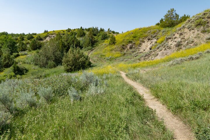 Self Guided Audio Tour of Theodore Roosevelt National Park