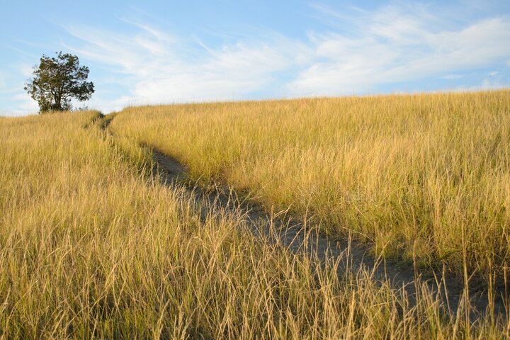 Self Guided Audio Tour of Theodore Roosevelt National Park