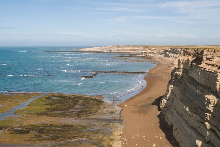 Peninsula Valdés - EARLY BOOKING -20 OFF - for Cruise Passengers