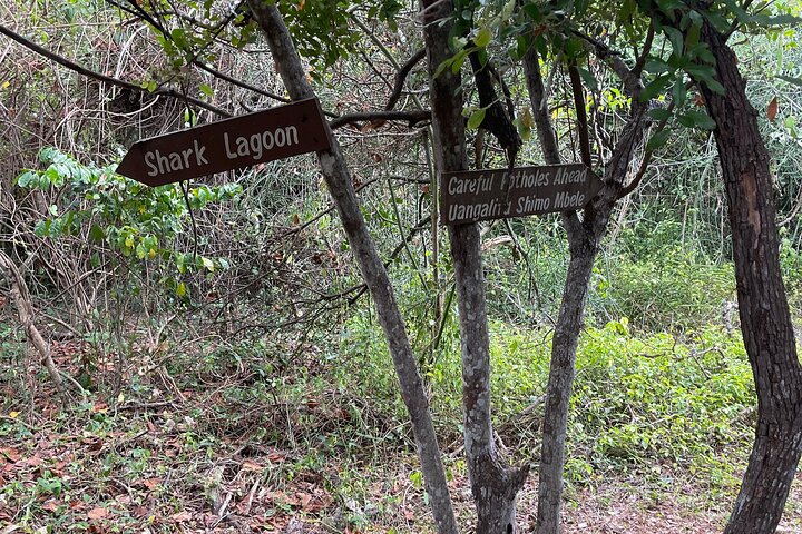 Bongoyo Island Full Day Tour from Dar Es Salaam