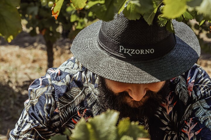 Pizzorno Winery with Lunch and Wine Tasting