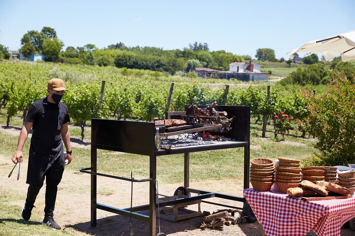 Pizzorno Winery with Lunch and Wine Tasting