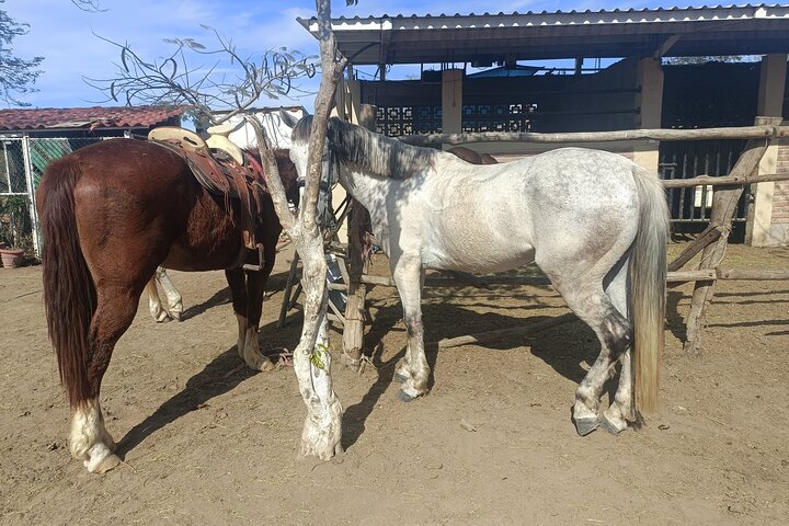 All Inclusive Beach Club, Water Sports, Horse Ride, Food & Drinks