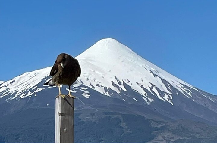 Osorno Volcano & National Park for Cruisers - PRIVATE