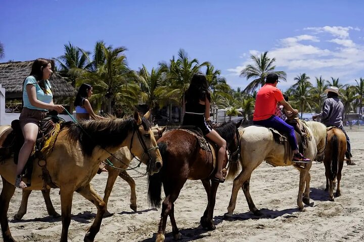 All Inclusive Beach Club, Water Sports, Horse Ride, Food & Drinks