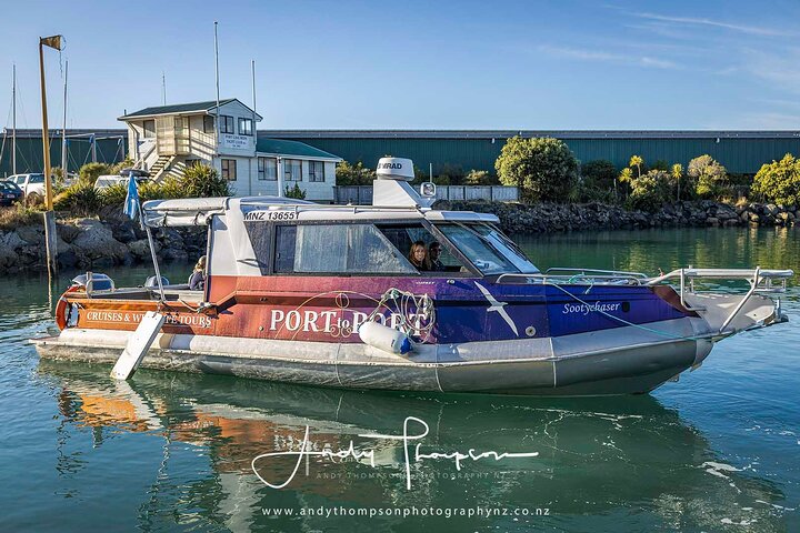 Dunedin Wildlife Cruise-Albatross, seals and harbour