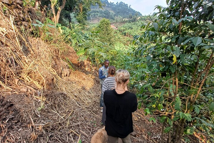 Kisoro a Notable Experience in the Gem of Uganda