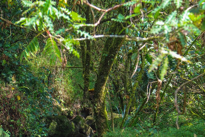 Kisoro a Notable Experience in the Gem of Uganda