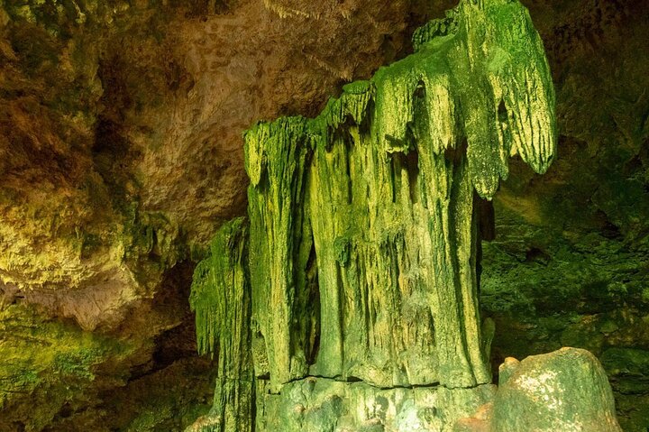 Full-day Tour Mnemba Jozani Forest Kuza Cave Paje Beach The Rock