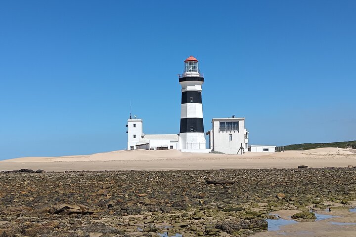 Guided Port Elizabeth Coastal Tour