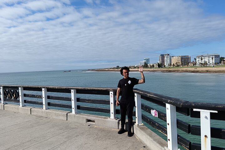 Guided Port Elizabeth Coastal Tour