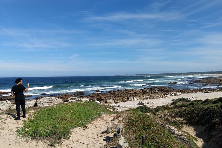 Guided Port Elizabeth Coastal Tour