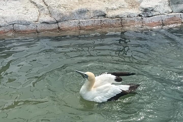 Guided Port Elizabeth Coastal Tour
