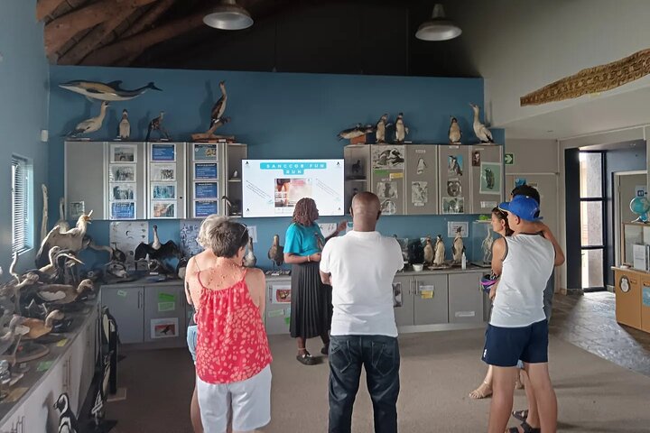 Guided Port Elizabeth Coastal Tour