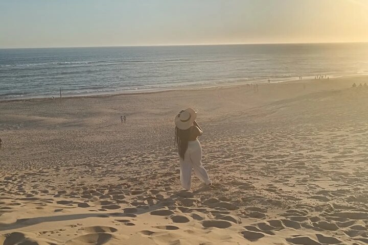 Guided Port Elizabeth Coastal Tour