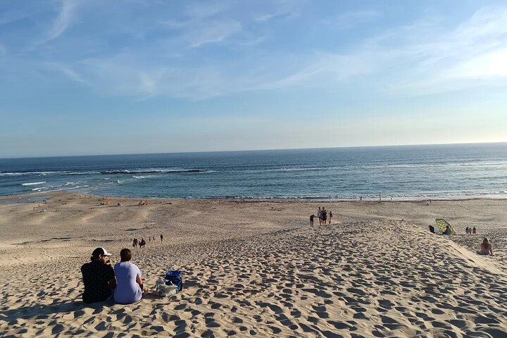 Guided Port Elizabeth Coastal Tour