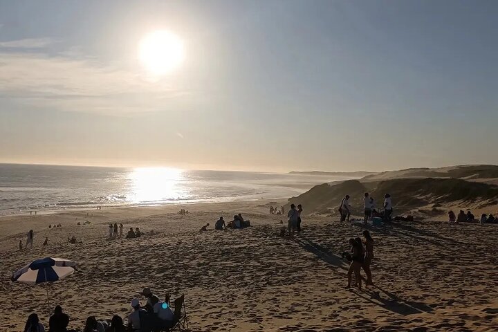 Guided Port Elizabeth Coastal Tour