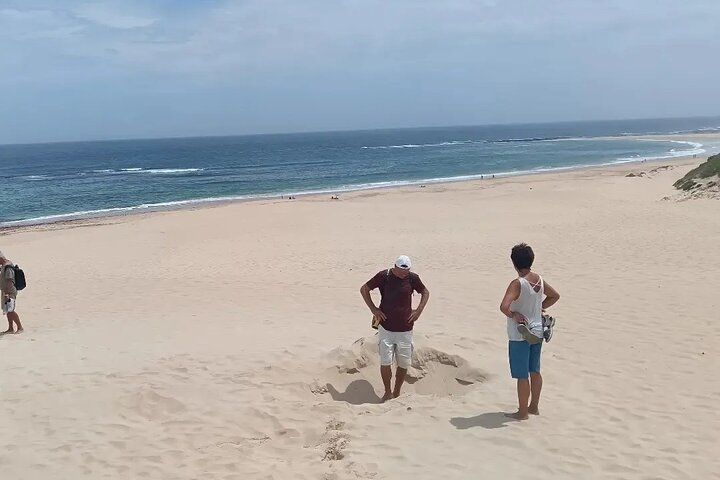 Guided Port Elizabeth Coastal Tour