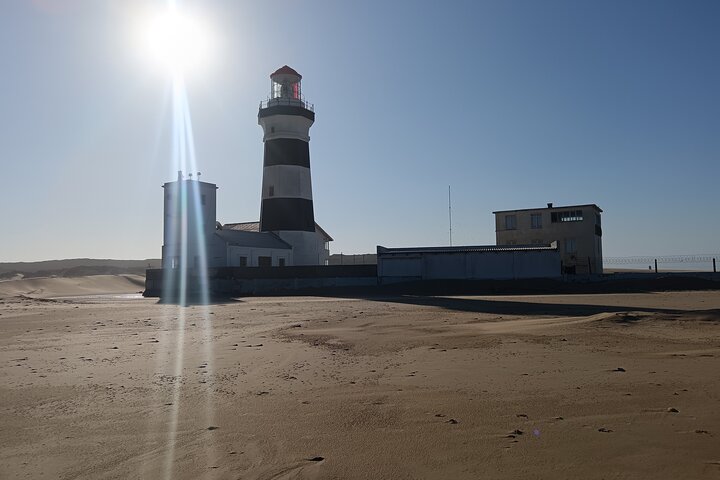 Guided Port Elizabeth Coastal Tour