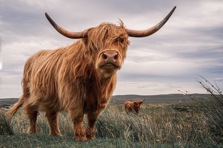 Isle of Skye Day Tour from Fort William