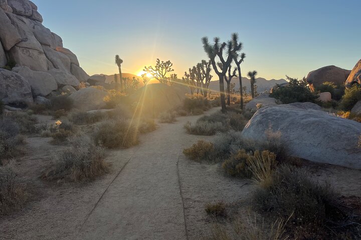 Joshua Tree National Park Sightseeing Adventure Tour