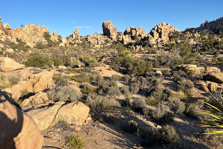 Joshua Tree National Park Sightseeing Adventure Tour