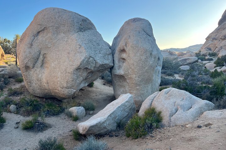 Joshua Tree National Park Sightseeing Adventure Tour