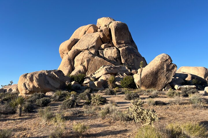 Joshua Tree National Park Sightseeing Adventure Tour