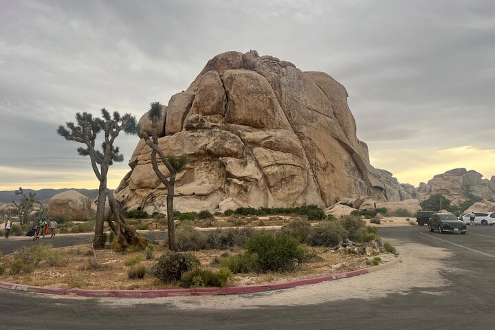 Joshua Tree National Park Sightseeing Adventure Tour