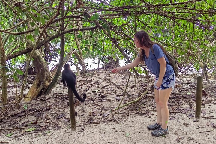 Manuel Antonio National Park : Guided tour with TICKET INCLUDED