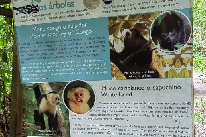 Manuel Antonio National Park : Guided tour with TICKET INCLUDED
