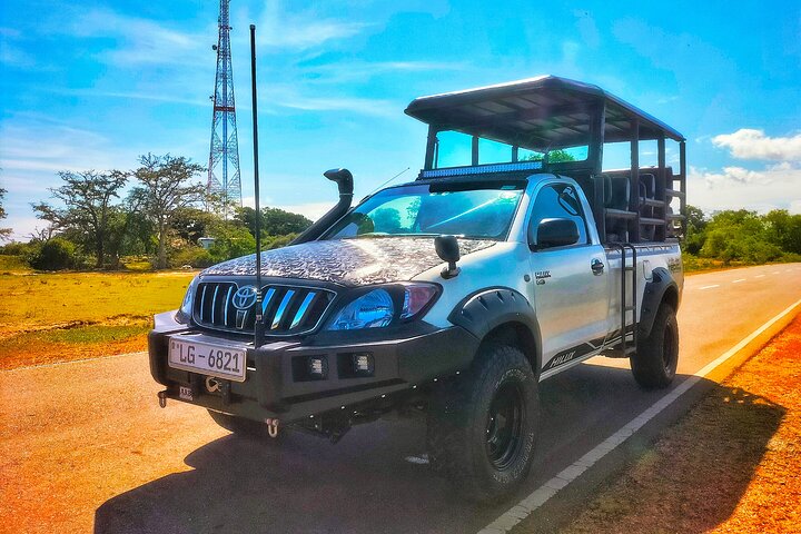 Yala National Park Special Leopard Safari Tours By Dinuka Safari