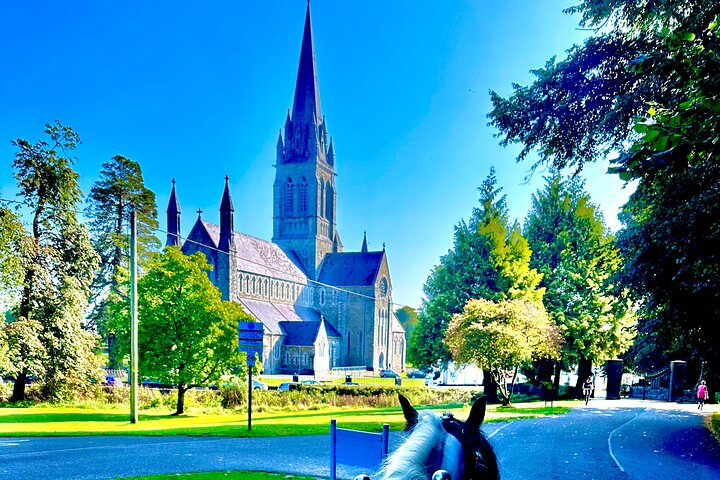 Killarney National Park Tour