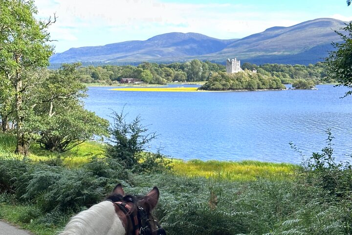 Killarney National Park Tour