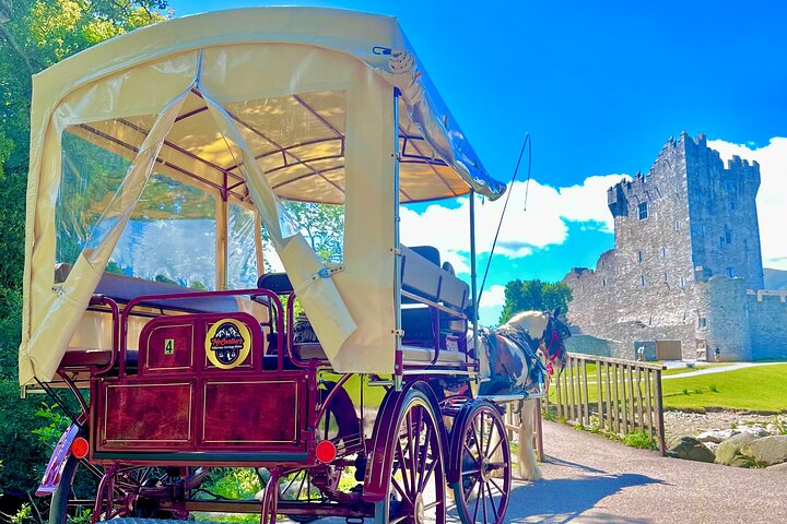 Killarney National Park Tour