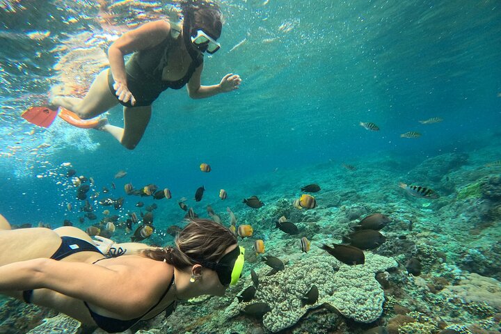 Nusa Penida : Snorkeling Trip Manta Point, Gamat Bay and Wall Bay
