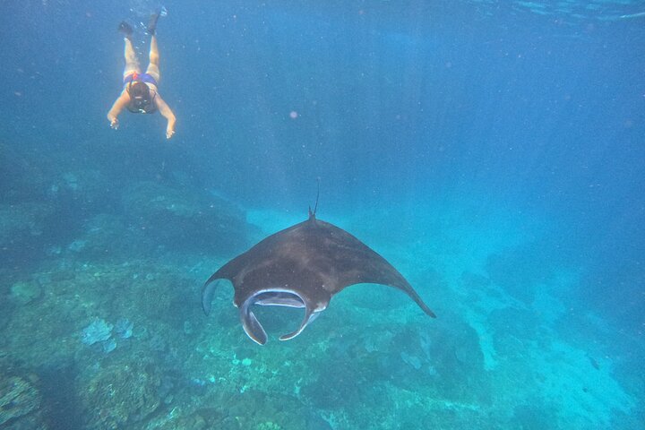 Nusa Penida : Snorkeling Trip Manta Point, Gamat Bay and Wall Bay