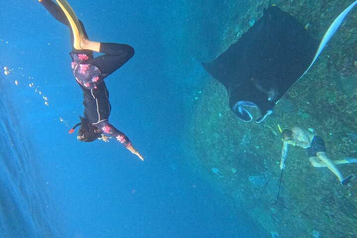 Nusa Penida : Snorkeling Trip Manta Point, Gamat Bay and Wall Bay