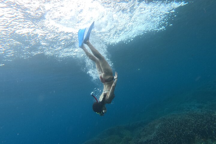Nusa Penida : Snorkeling Trip Manta Point, Gamat Bay and Wall Bay