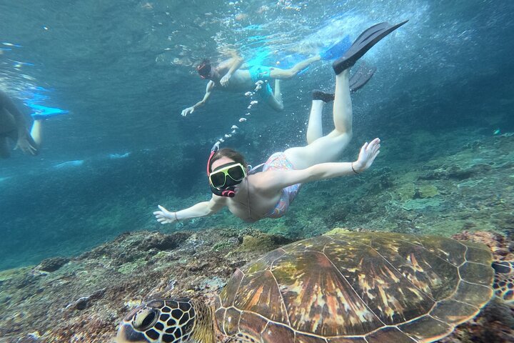 Nusa Penida : Snorkeling Trip Manta Point, Gamat Bay and Wall Bay