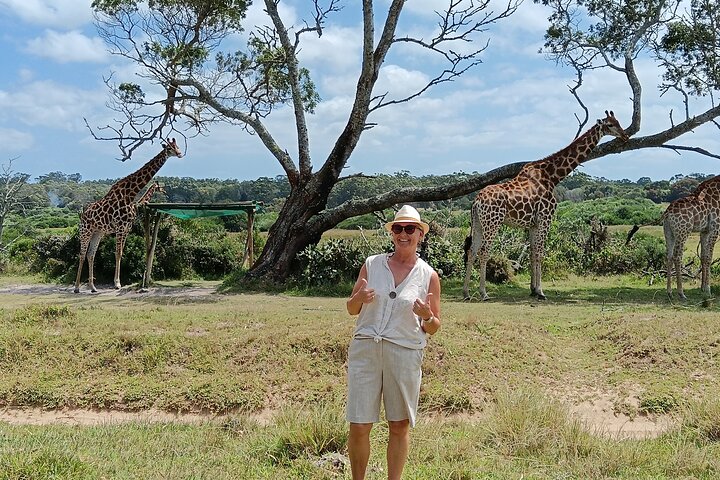 Kragga Kamma Game Park Safari Guided Tour in Port Elizabeth