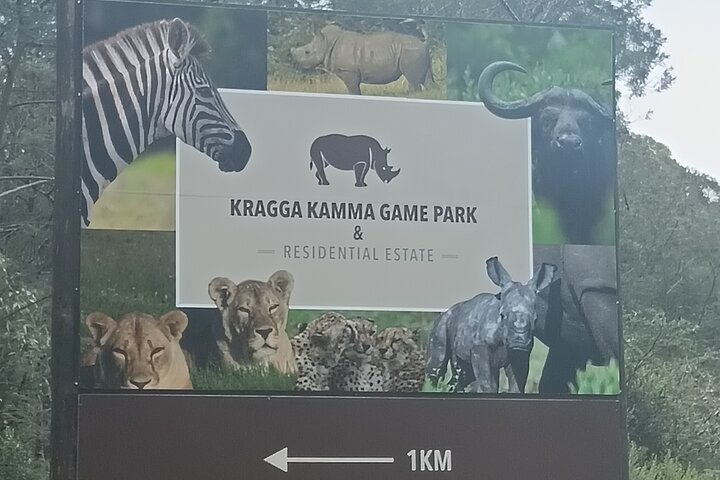 Kragga Kamma Game Park Safari Guided Tour in Port Elizabeth