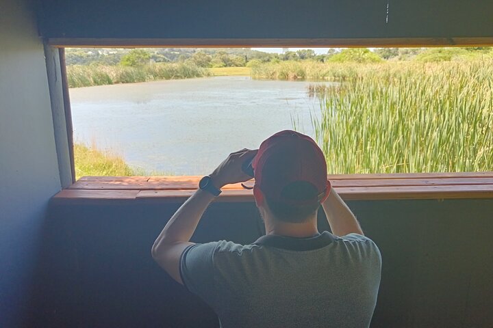 Kragga Kamma Game Park Safari Guided Tour in Port Elizabeth